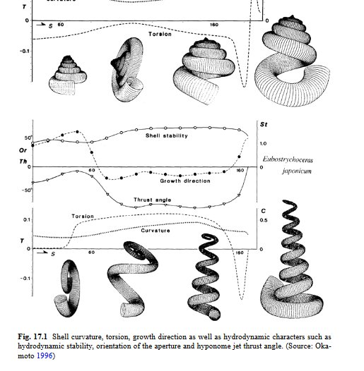 FemoraleShells's tweet photo. Cephalopods of Cretaceous, https://t.co/URx5jJx4VM #Cretaceus #Cephalopod #ammonite #mollusc #paleo #fossil https://t.co/xgY2wHk6C7