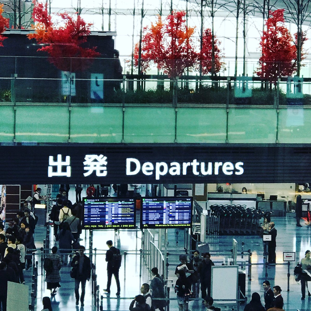 mayuko_hino's tweet photo. 行ってきま〜す✈️
#departure #UK #London #Iklectik #codinginge #20年ぶりのUKライブだよ #機材がクソ重い #スーツケース3個に分散 https://t.co/P9TX56GIm7