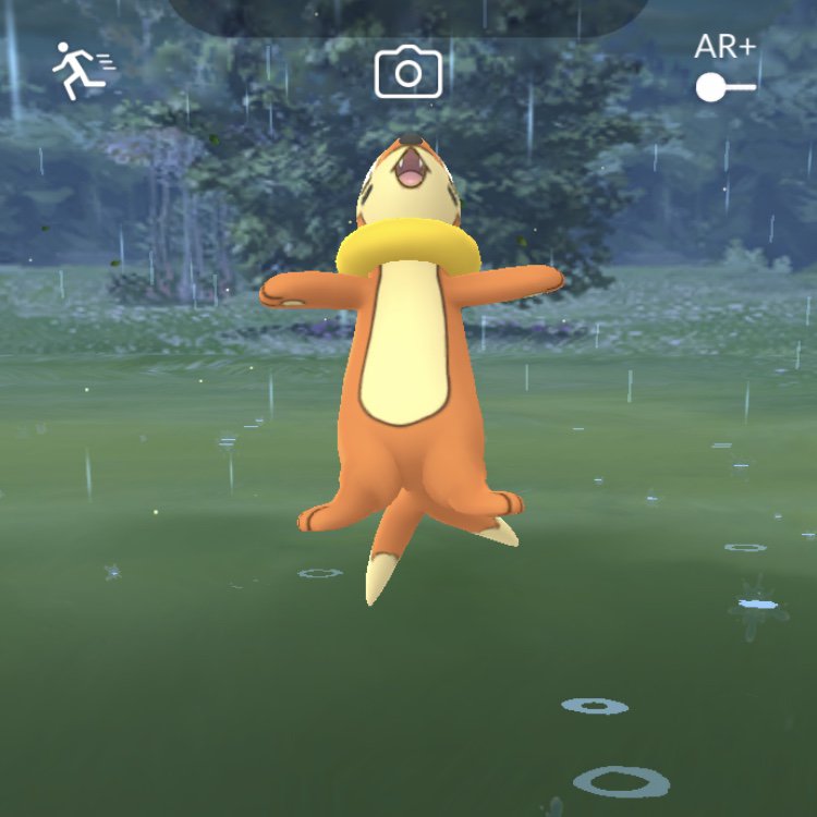 ポケモンセンターnakayama V Twitter ブイゼル発見 初ゲット ポケモンgo Pokemongo