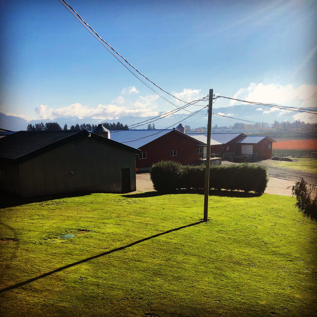 janzenpoultry's tweet photo. Love living in the Fraser Valley in BC. #nosnow https://t.co/kTKfw4uGzD