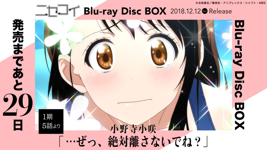 ニセコイ のヒロイン 小野寺小咲の魅力を解説 最終的な恋の行方はどうなった Ciatr シアター