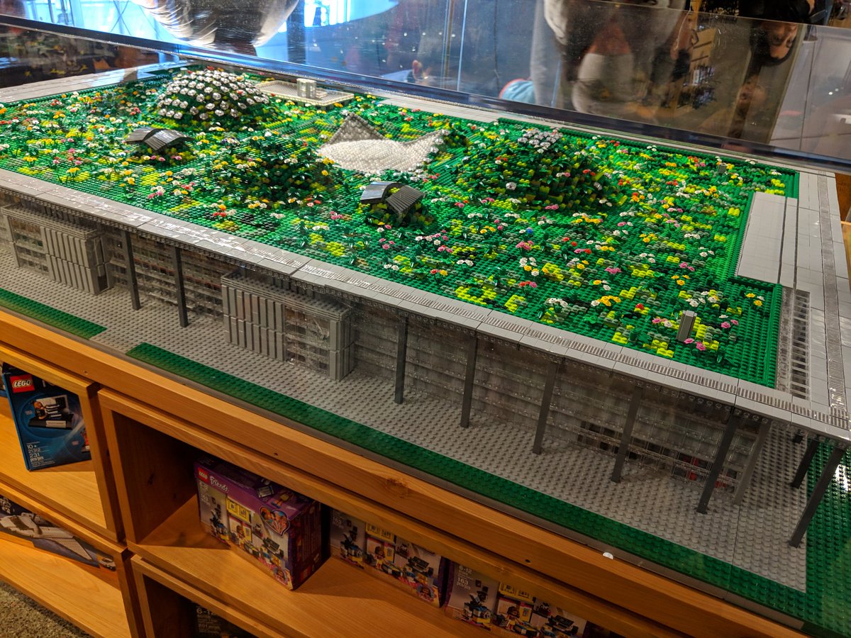 Amelia DeLaPaz tweet media