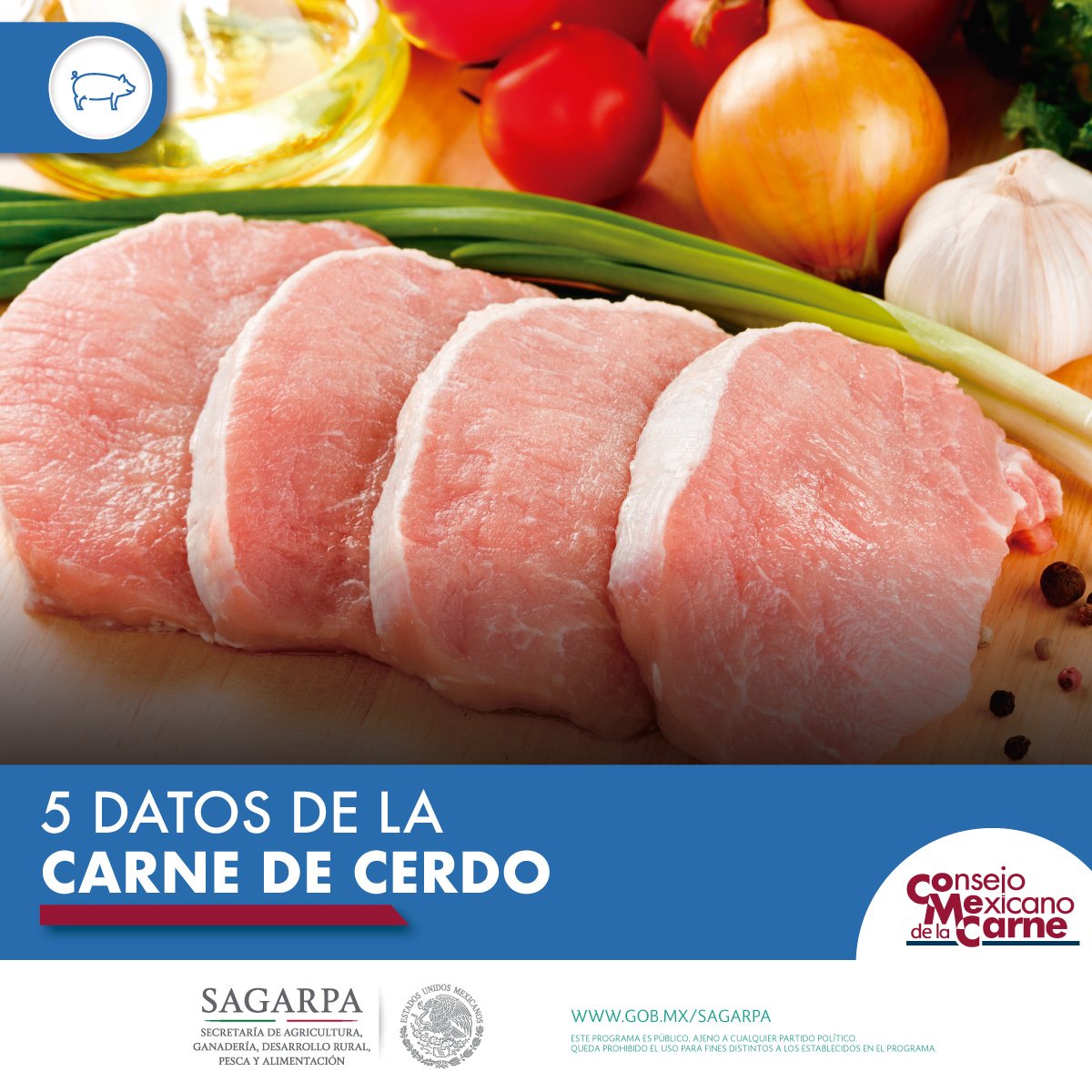 ConsejoMexCarne's tweet photo. 5 DATOS DE LA CARNE DE CERDO

1. Es fuente de proteínas y minerales. 
2. Aporta aminoácidos esenciales 
3. Posee vitaminas del complejo B. 
4. Ayuda a mantener los tejidos. 
5. Aporta hierro y potasio.

Conoce más en https://t.co/jQE4avNLr2 

@SAGARPA_mx https://t.co/vSI1MdNr3z https://t.co/GjbMjTFLyP