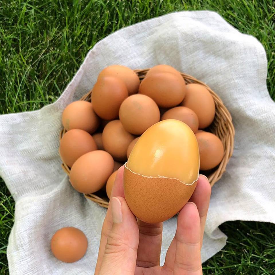 Angbobs_'s tweet image. 앙탱이 맥반선 구운란🥚

오늘 점심은 앙탱이로 어때용😍

간식도 맛있는 닭가슴살 전문 브랜드 '앙밥스'
angbobs.com

#현실적으로 #앙밥스 #앙밥스닭가슴살 #angbobs 
#닭가슴살 #구운란 #계란 #맥반석계란 #앙탱이 #다이어트 #다이어트간식 #저칼로리 #식단 #운동 #맛있어요 #jmt