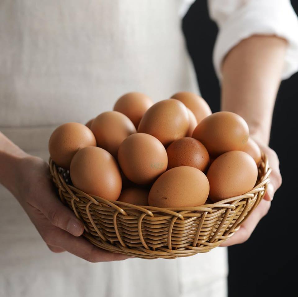 Angbobs_'s tweet image. 앙탱이 맥반선 구운란🥚

오늘 점심은 앙탱이로 어때용😍

간식도 맛있는 닭가슴살 전문 브랜드 '앙밥스'
angbobs.com

#현실적으로 #앙밥스 #앙밥스닭가슴살 #angbobs 
#닭가슴살 #구운란 #계란 #맥반석계란 #앙탱이 #다이어트 #다이어트간식 #저칼로리 #식단 #운동 #맛있어요 #jmt