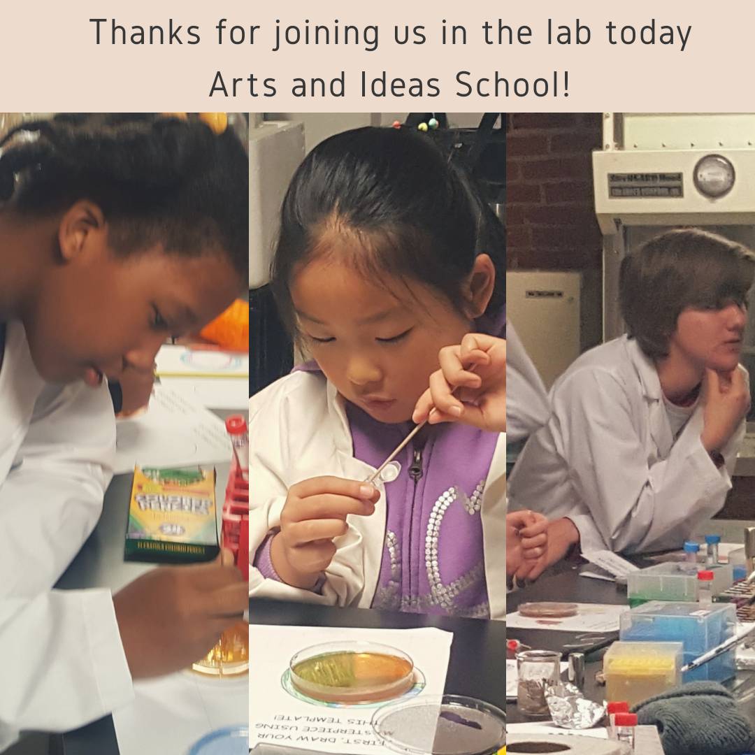 BUGSSlab's tweet image. We had a great time in the lab today with students from the Arts and Ideas Sudbury school extracting DNA from strawberries, pipetting and loading gels, and of course, #agarart! We&apos;re always happy to host school groups, scouts, and parties. Reach out to info@bugssonline.org !