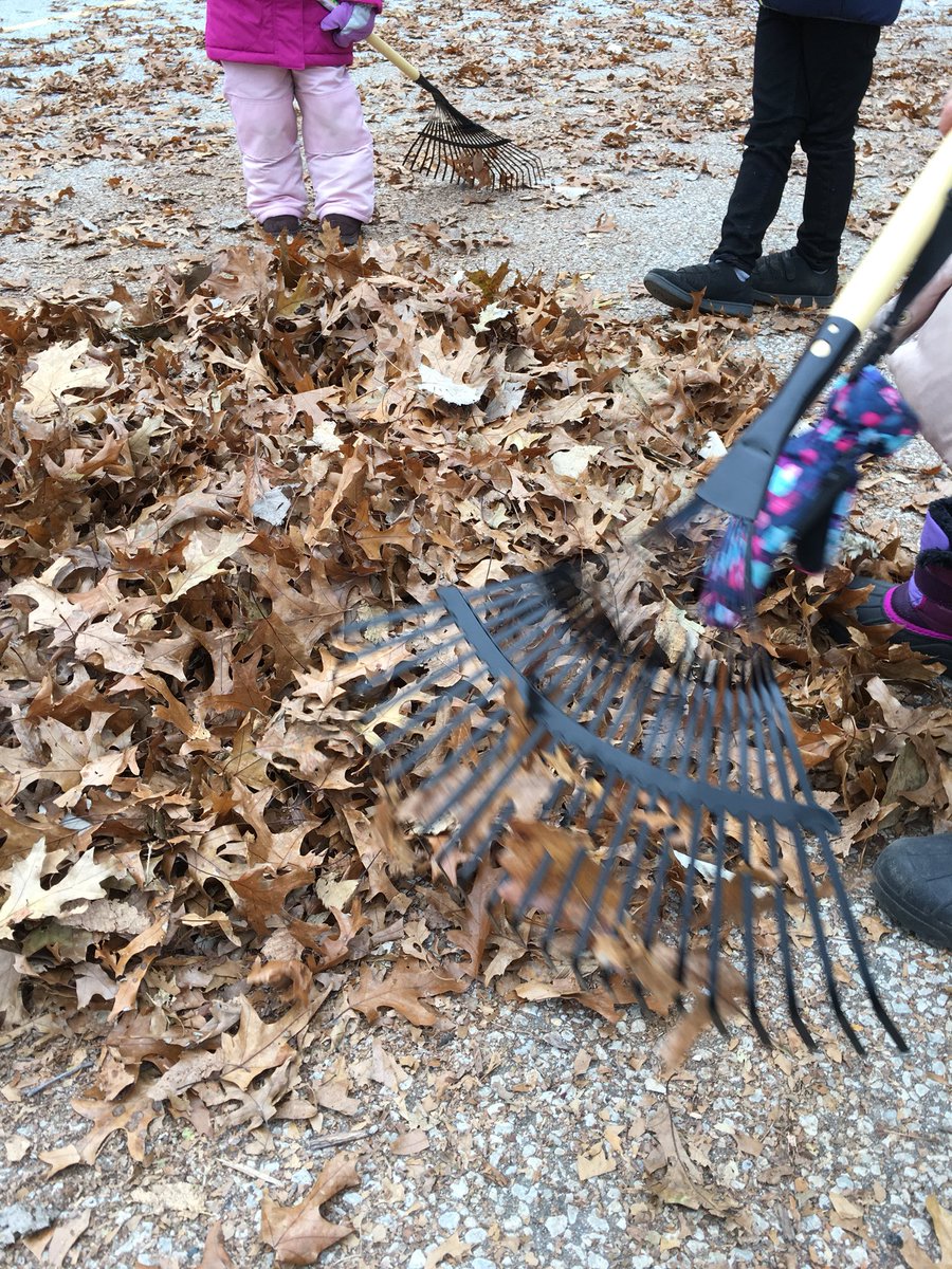 It’s amazing the #Math conversation that occurs naturally in playful #outdoor activities like raking leaves - how big is the pile? How many leaves are in it? How long will it take to rake the yard? How high do we have to jump to cross it? #MTBoS #joyfulmath