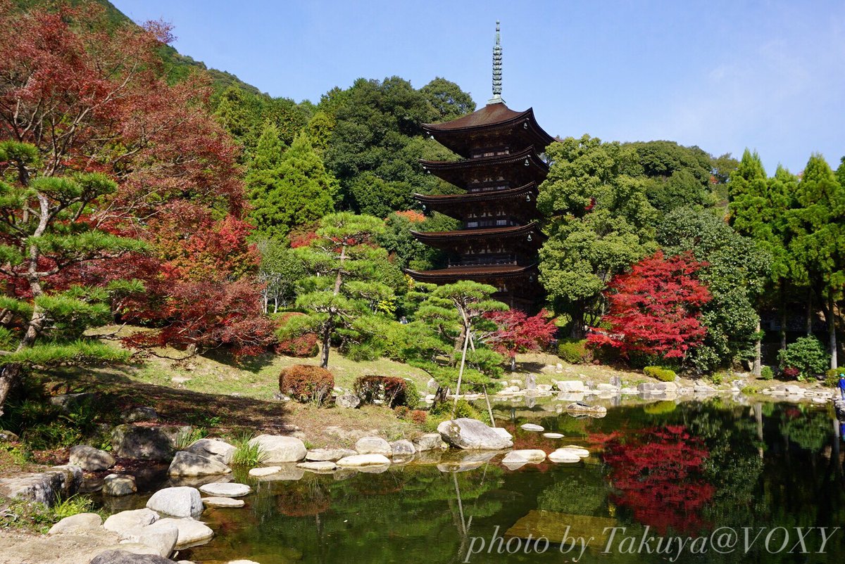 Takuya 国宝 瑠璃光寺五重塔 山口県 山口市 瑠璃光寺五重塔 紅葉 ファインダー越しの私の世界