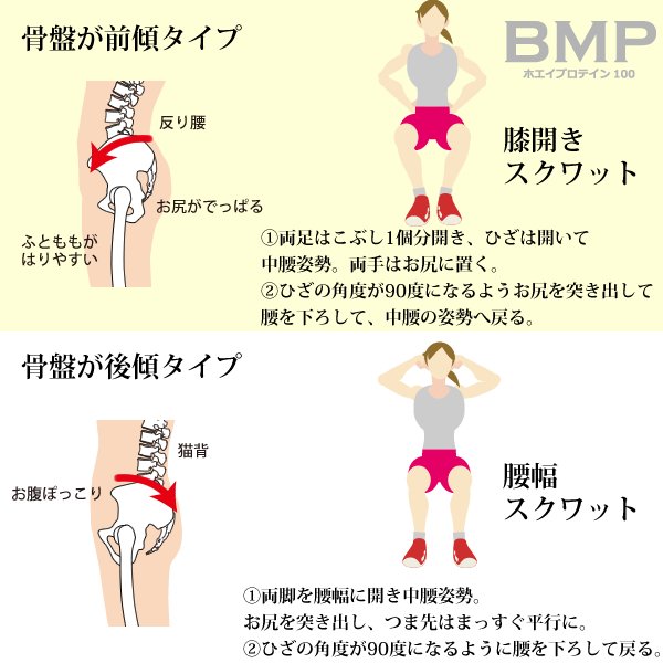 Bmpプロテイン スクワットの効果がイマイチ どうやら骨盤の傾きでトレーニング効果が変わるようです 前屈苦手 骨盤後傾タイプ 肩甲骨 大胸筋 背中の筋肉が稼働しにくい 前屈得意 骨盤前傾タイプ 負荷が腰椎の方に集中 うぅ Baseec 筋トレ女子