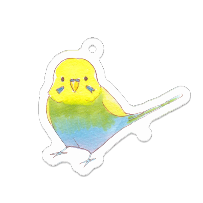 セキセイインコのtwitterイラスト検索結果 古い順 セキセイインコのtwitterイラスト検索結果 古い順