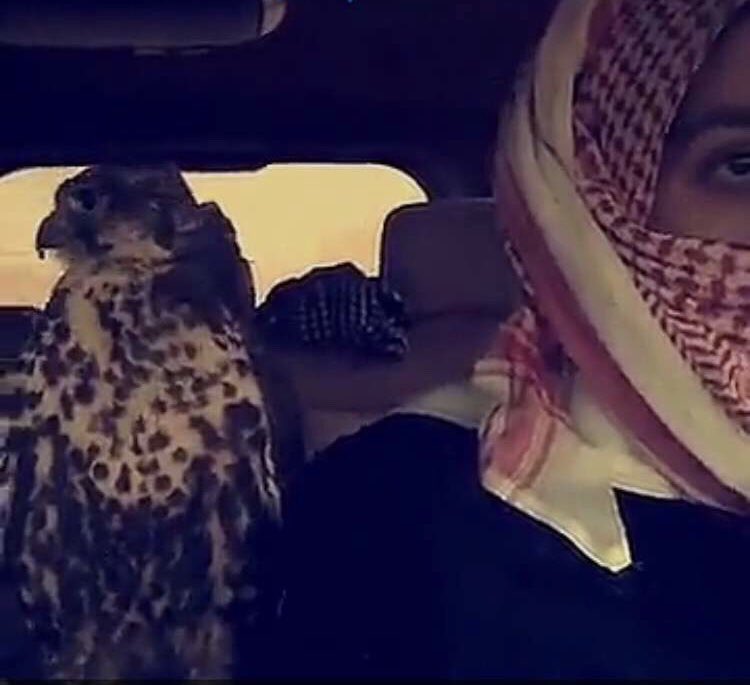 اصبحنا واصبح الملك لله توكلنا على الله الى المقناص دعواتكم