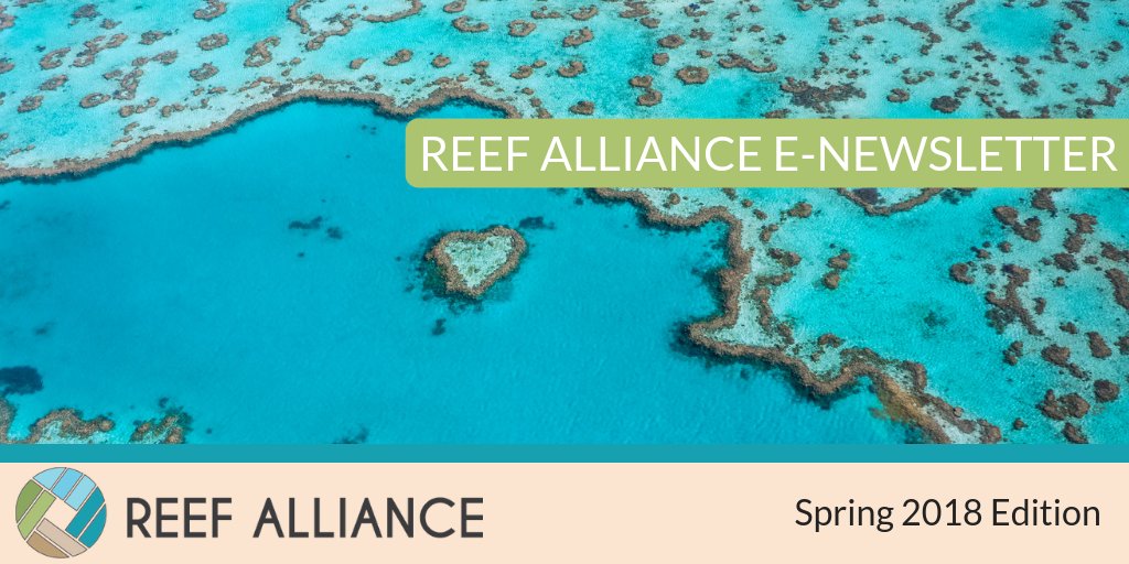 ReefAllianceAU's tweet photo. The #ReefAlliance E-Newsletter Spring Edition ๐ ๐ is now available! Stay up-to-date with the latest news from our partners including improving BMP in reef catchments and reducing sediment loss on farm. https://t.co/fClH8g4EjP #agchtaoz https://t.co/LOMmIFUSGe