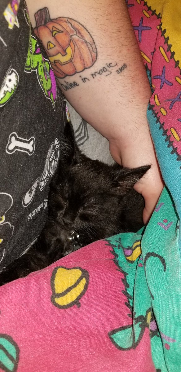 disnerdmonkat's tweet photo. @OfficialKJB @AaronLinguini @ChaseRoss snuggling my little black Ember, wearing a spooky Toki Doki shirt, my Halloweentown Jack'O Lantern tattoo, ya'll can't tell me this isn't a mood? https://t.co/u6Ij0AZ3k2