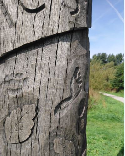 CityofTreesMcr's tweet image. This #TreeCharterDay why not visit the charter pole, part of the Irwell Sculpture Trail #TreeCharter #TreeCharterDay @WoodlandTrust @ForestryCommEng @BuryCouncil #Bury bit.ly/2T6wDNb