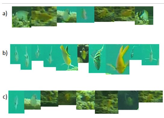 ReeFishNews's tweet image. A step further in automated reef fish identification. A convolutional neural network able to identify fishes from Mayotte island with @emilysdarling 
A bit more accurate than experts but so much faster. Mirroring and splitting images to boost performance.
sciencedirect.com/science/articl…