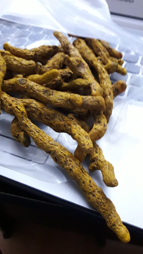 vibgyorteam's tweet photo. Turmeric Finger, Indian Origin
Mo. No. +91 99789 40090
E-mail: spicesdocs@vibgyorteam.com
#Turmeric #Turmericfinger #Kathiyawadi #vibgyorteam https://t.co/hRRIKFAw4O