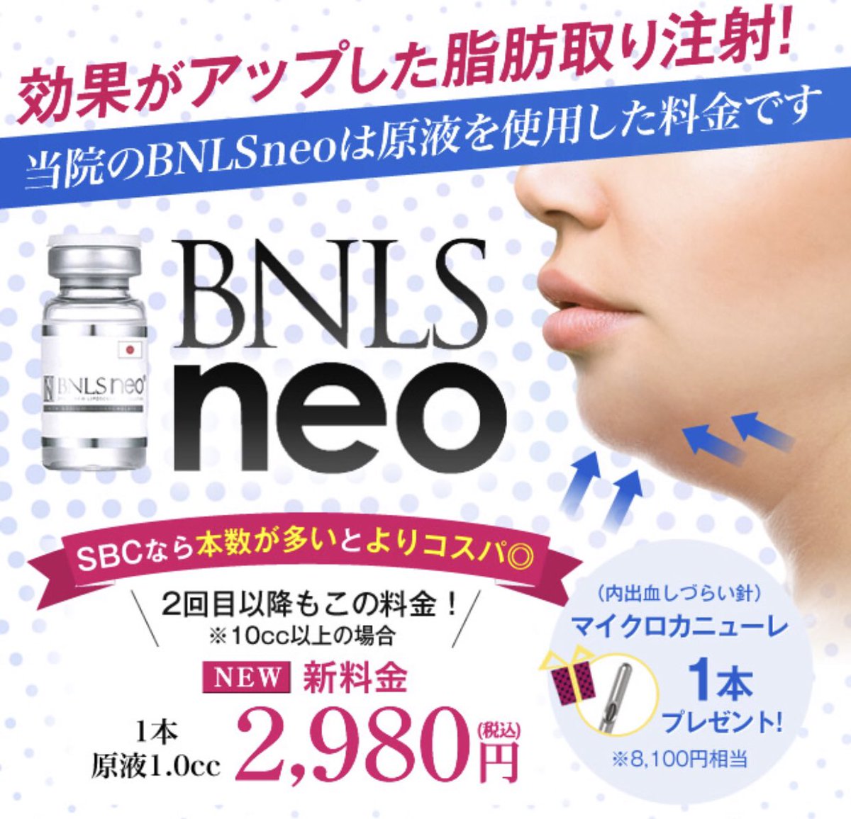 Bnls Neo 脂肪溶解注射 記録 Bnls Neo 脂肪溶解注射 記録