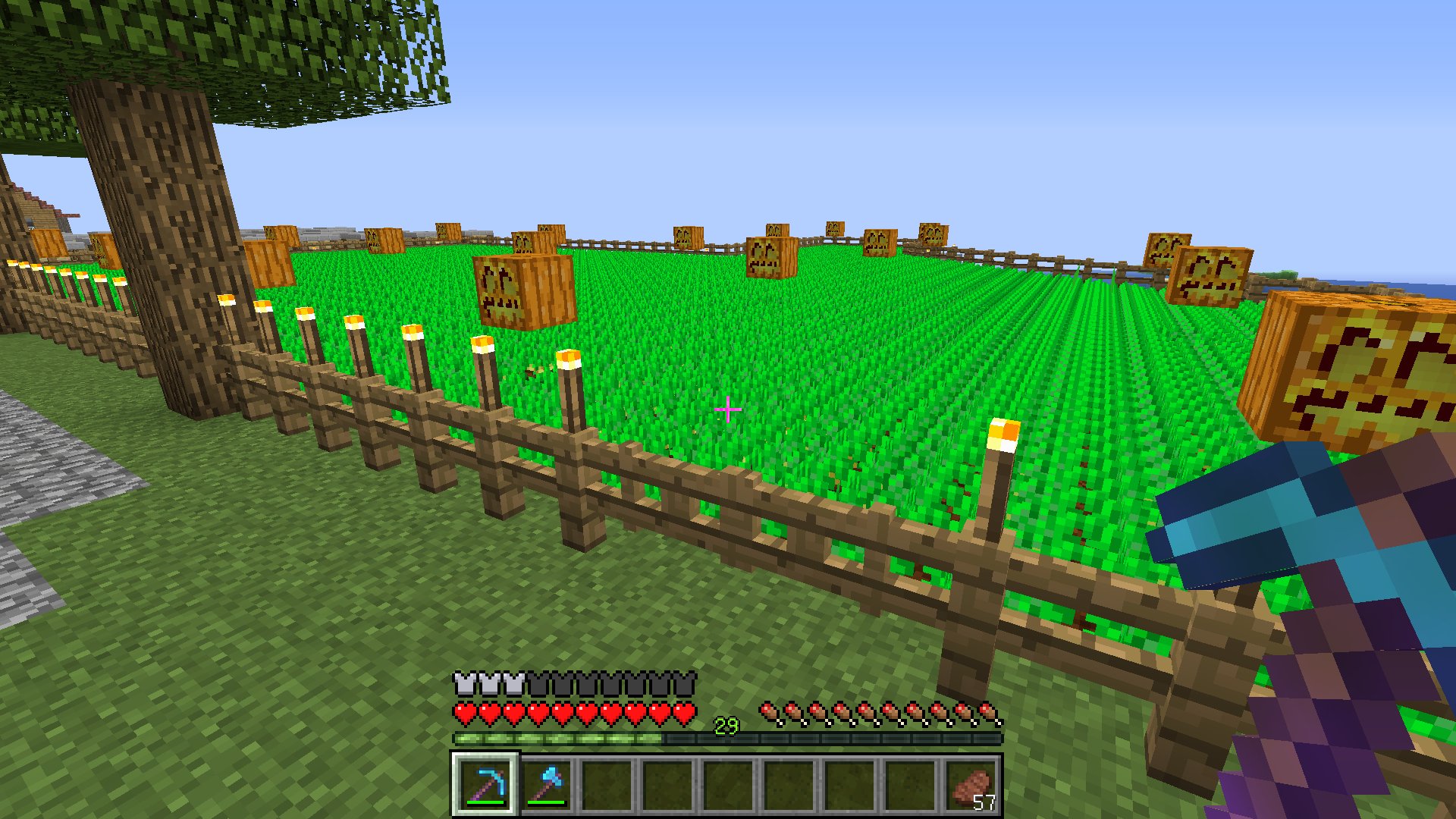 はじめ人間オクタゴン 行く前に畑の作物を収穫 D ノ すぐ生えるよね でもでも これもラピちゃんの為や W マインクラフト マイクラ じゃがいも畑 スイカ畑 T Co Wsuaslvxeh Twitter