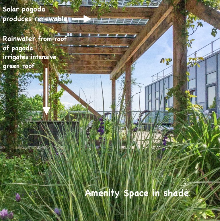 #greeninfrastructurepicture  9 - #solar pagoda on a roof - providing #renewable #energy and #amenity space for staff - #vienna - a #biosolar #intensive #greenroof - #urbangreeninfrastructure in action.
@greenroofs @greenroofsaus @WaterResilient @LondonNPC @Brillianto_biz