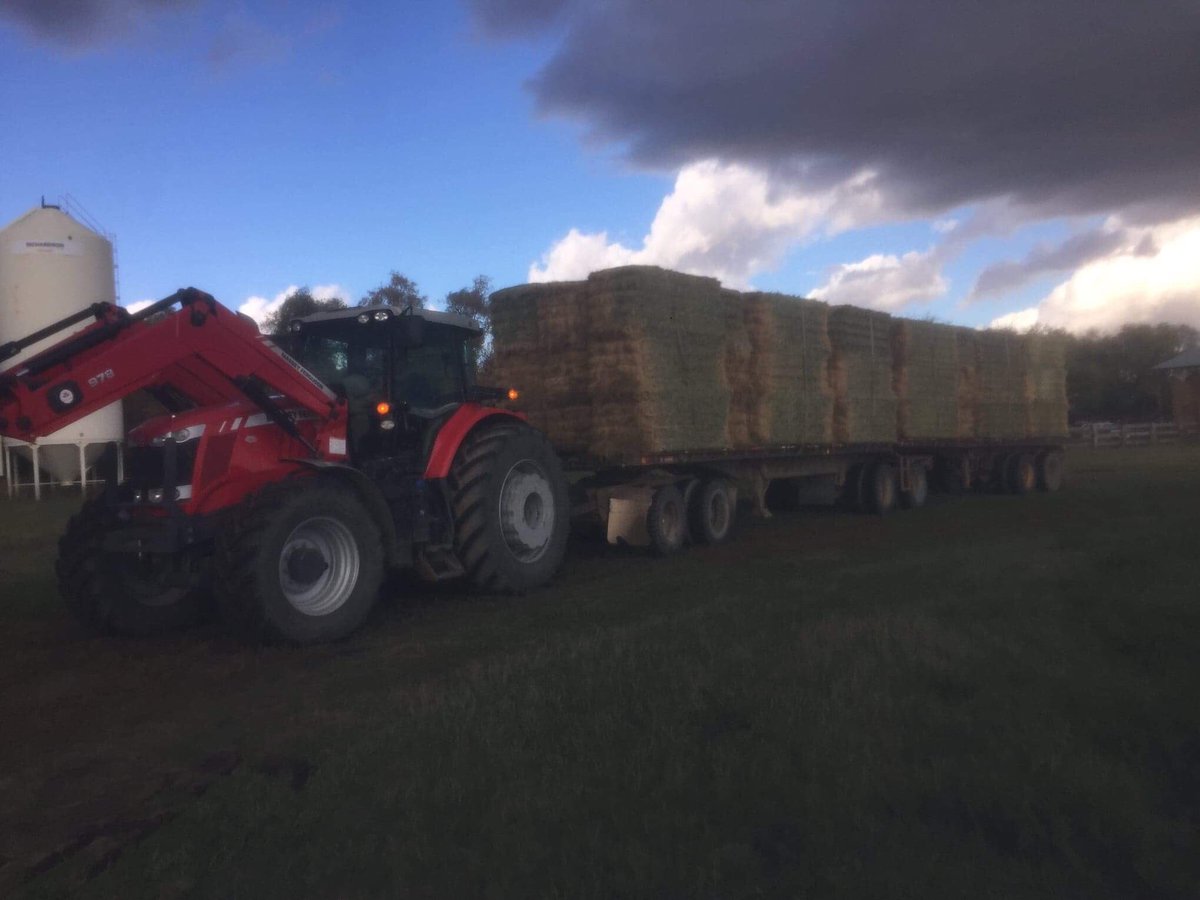 MBAgDays's tweet photo. We had an exhibitor back out of the #bullcongress @MbAgDays - if you are interested in 10 or 20 feet please call the office at 12048664400 #agdays19 January 22nd to 24th 2019 Please help us spread the word! https://t.co/O0SBmogZ3j