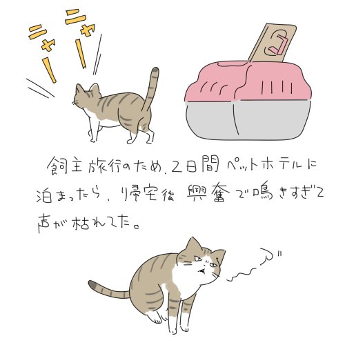 翌日には治ってました 
