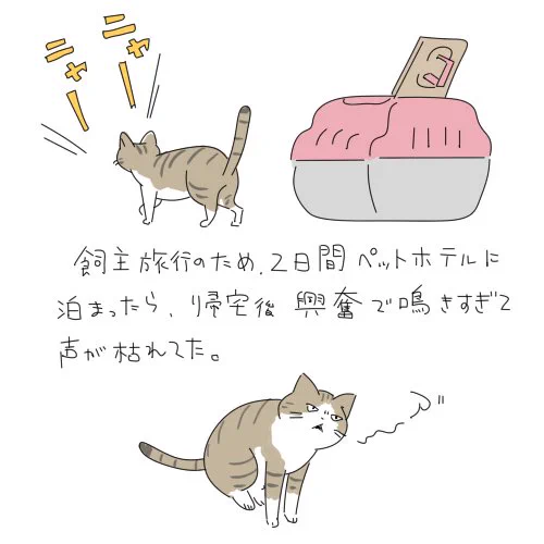 翌日には治ってました 