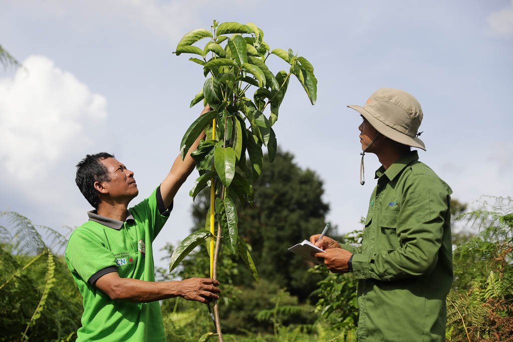 RER_official's tweet photo. We grow #trees in our nurseries that will then be replanted in the #forest to help restore tree cover. Find out more here: https://t.co/sef94bDQJE
#ExploreRER #Riau #Indonesia https://t.co/lMNLNRNMEL