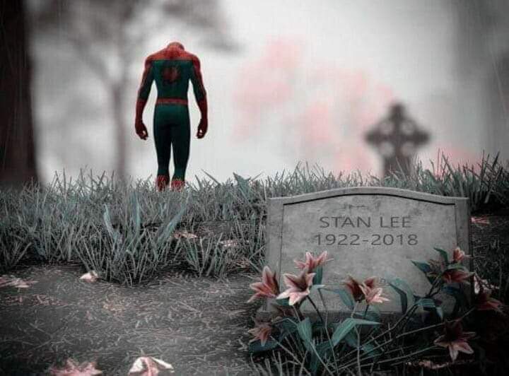 CagetheDarkness's tweet photo. It was very sad to see one of my most favorite people pass away. #StanLee was an amazing person! He gave me motivation to keep moving forward & to feel strong when I felt weak with his inspiration growing up God bless you Mr Lee! #StanLeeForever #RIP #ComicIcon #Marvel #Excelsior https://t.co/EUAXVceoCT