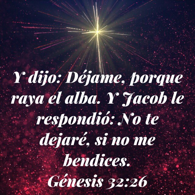 Darling Ayala على تويتر: "Deberíamos tener la actitud de Israel ...