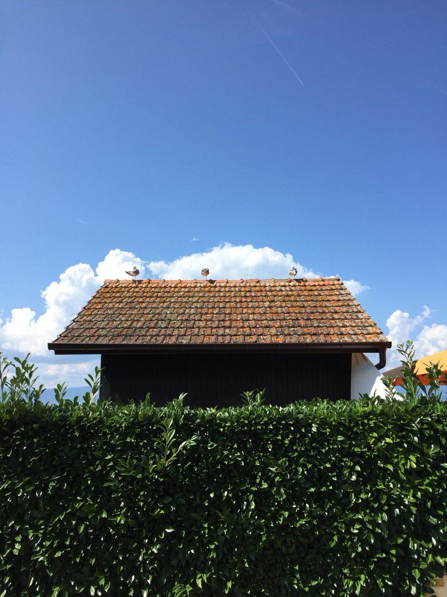 Equilibres vie Pro / vie Perso : quelques réflexions autour d’une étude managementparlecare.com/2018/11/13/equ…