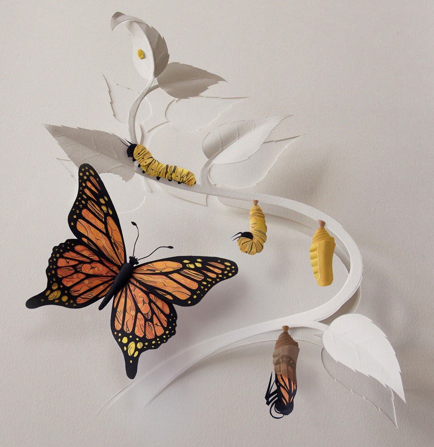 A selection of exciting new images from @armstrong_illus, see more of her work here. ow.ly/tJNI30mB28x 

#illustrate #illustration #illustrator #illustrationoftheday #paperart #papercut #men #butterflymetamorphosis #multicoloredflowers #stockillustration #stockphoto