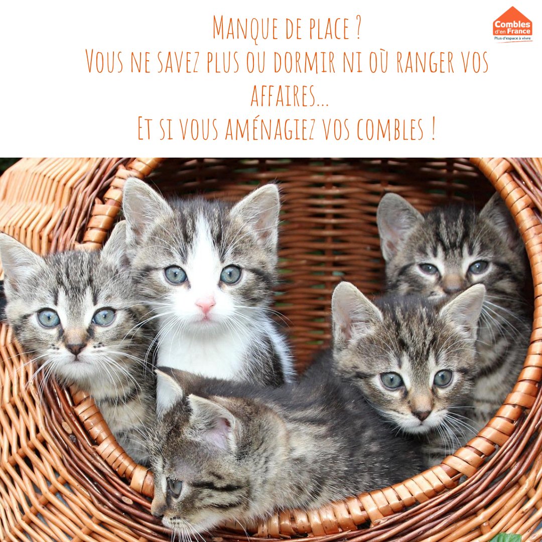 Chez Combles d'en France, nous avons toujours une solution ! #combles 🐱
combles.com