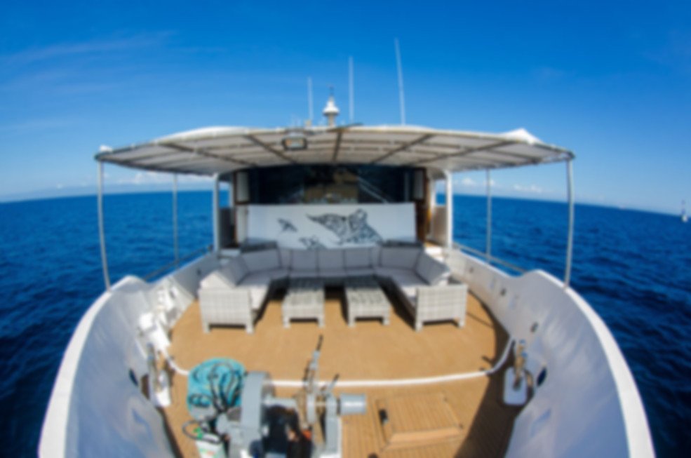 Last Minute Discount -30% Dec 2018 Seadoors Philippines - mailchi.mp/6e6071eed626/l…