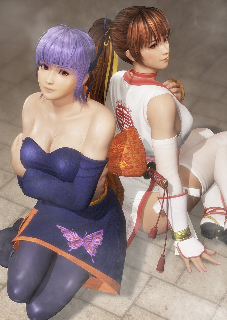 Concept translated pretty well into the game but who stole Ayane's che...