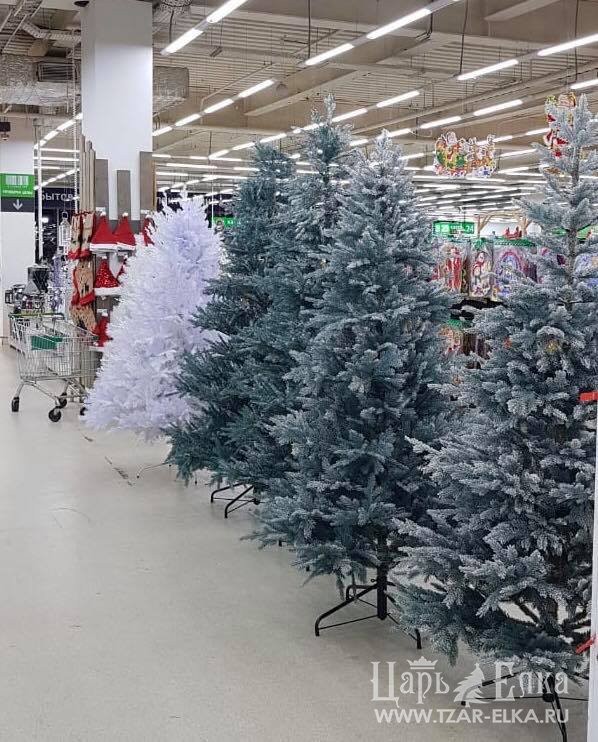 TzarElka's tweet image. Даже если не будет снега, Елка может быть запорошенной! #купитьелку #купитьелкувмоскве #искусственнаяелка #елкановыйгод #царьелка #tzar-elka