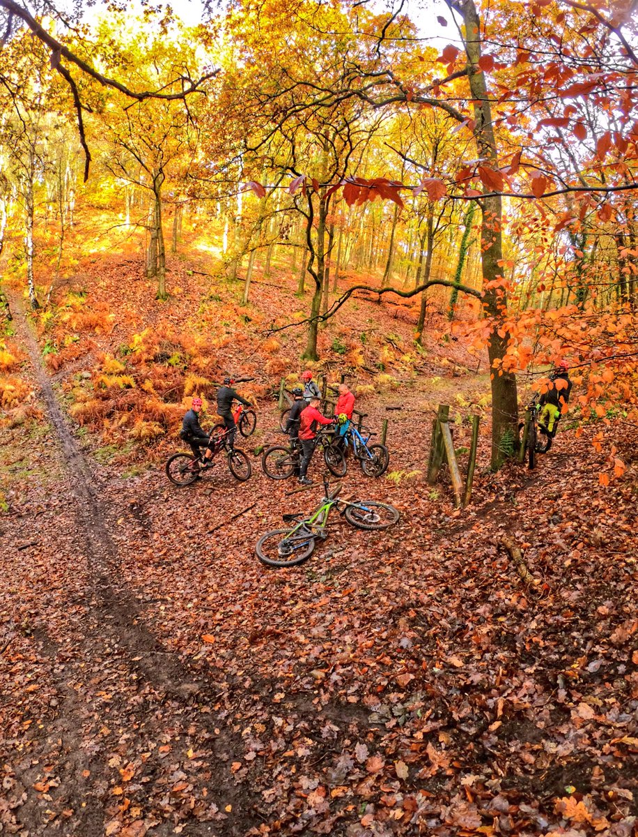Forest of Dean MTB tweet media