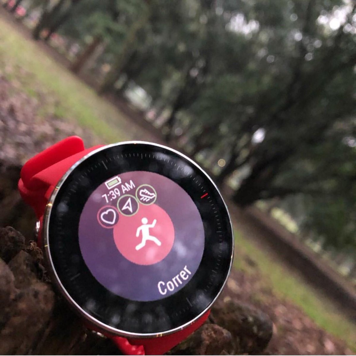 PolarSpain's tweet image. ¡Vamos a por el entrenamiento del día! 🏃💪
 Pulsaciones ✔️
 GPS ✔️ Potencia ✔️ #PolarVantageM #BloodSweatAndData polar.com/es/vantage/m