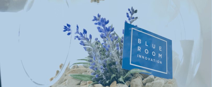 🔎💎 We are looking for Grant Writers and Project Managers 
>The role: undertake the full responsibility of the proposal preparation for international business and #DigitalTransformation projects... 

>Read more! blueroominnovation.com/en/2018/11/13/… #innovation #JobOpportunity
