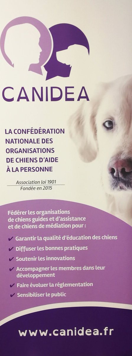 Fondation_FG's tweet photo. Les Canidéennes 2018 se sont déroulées à la @Fondation_FG ! C'est la première fois en France que toutes les spécialités de chien d'aide à la personne sont réunies: chien guide, chien d'assistance et de médiation🐾
#fondationfg #canidea https://t.co/hVIejjq0A9