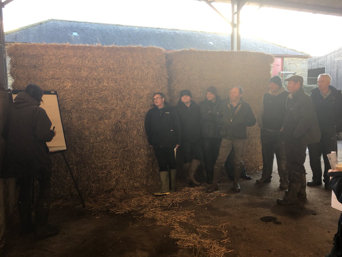 HayleySheepKing's tweet photo. How much does each ewe make you? @NRenison discusses the importance of benchmarking at @JamesADrummond latest #challengesheep meeting @AHDB_BeefLamb @RhidianJones2 @garbeynon1 https://t.co/nXYhl34J62