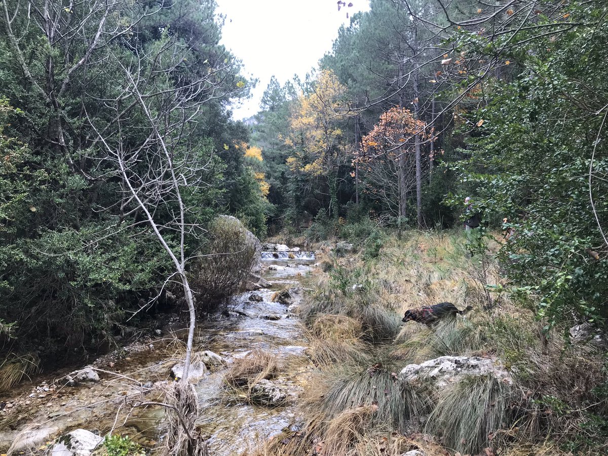 higiniherrero's tweet photo. Descobrint els Ports de Besseit 😍 #arnes #hortadesantjoan #estrets ⛰ https://t.co/78MEzqbnog