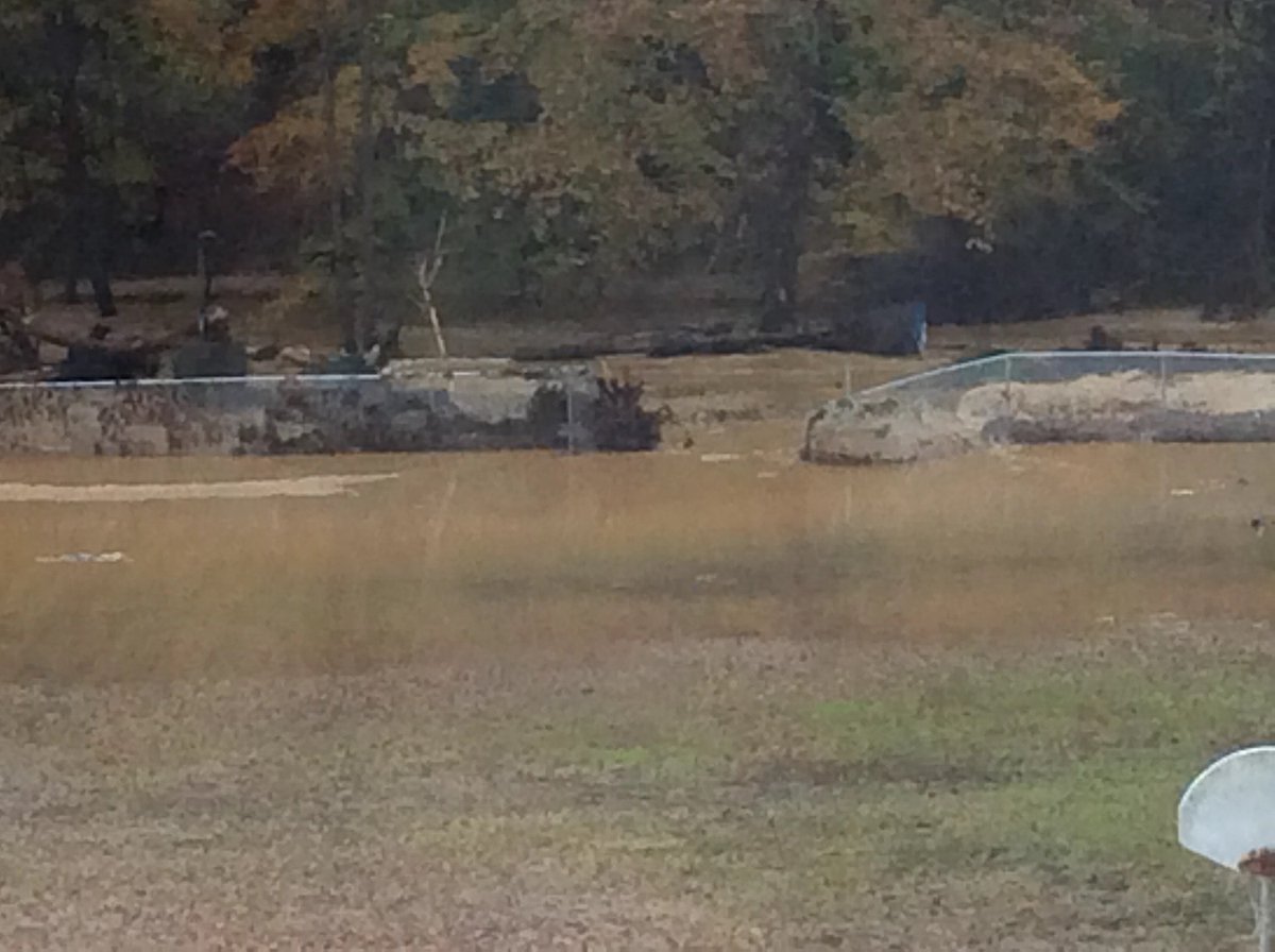 FPGBLibrary's tweet photo. Photos are the view from the library windows. Our disappointed students look outside &amp; say: "We're never going to be able to use our playground this whole year!" 🙁
Adults, let's work together to fix this. 💪🏾 #Community #ProblemSolving #Flooding @FPGBilingue @chccs @chapelhill https://t.co/gNkVlM5WZ0