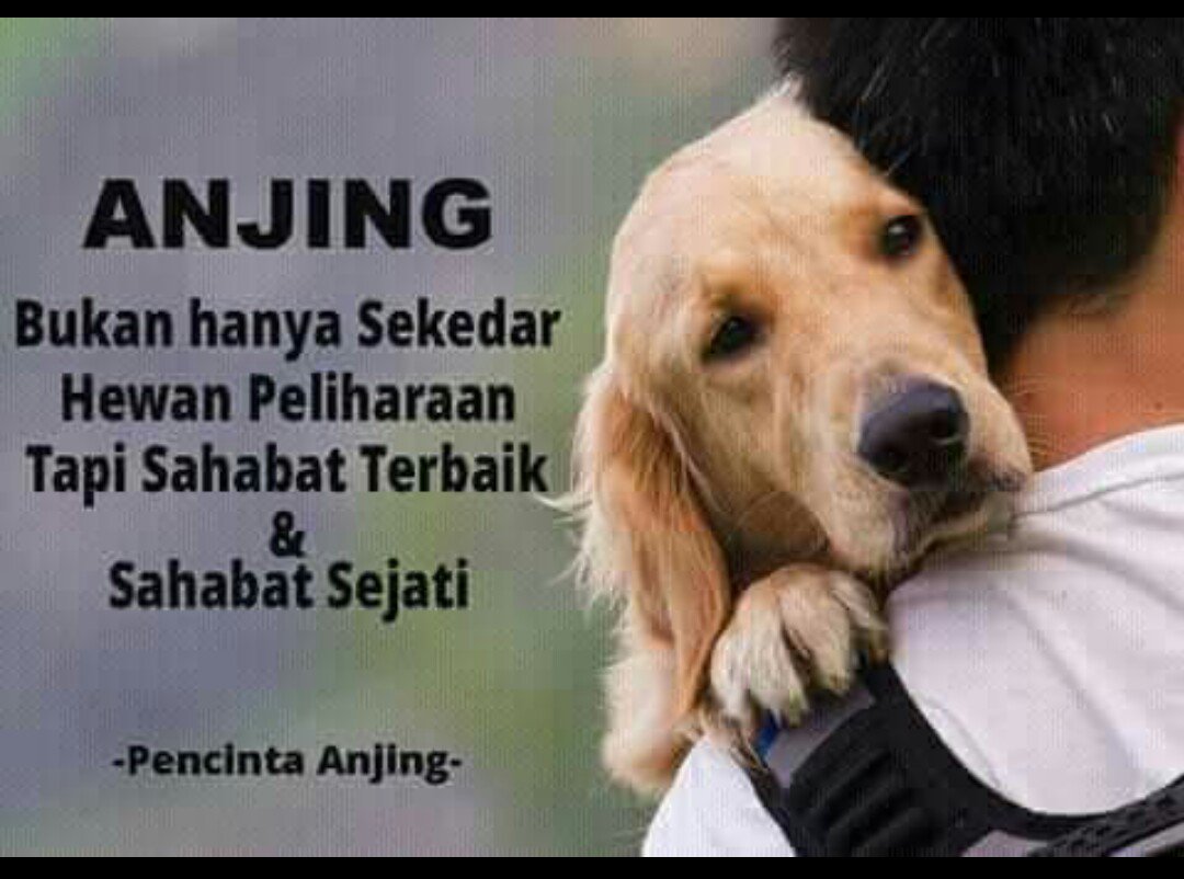 Hexsa Saputra (@hexsasaputra) on Twitter photo 