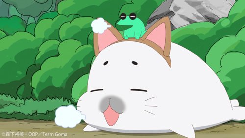 少年アシベ Go Go ゴマちゃん V Tvittere 今週もご覧くださりありがとうございました ゴマちゃんもフォトちゃんもひらおも かわいかったですね 来週もよろしキュ 少年アシベ ゴマちゃん