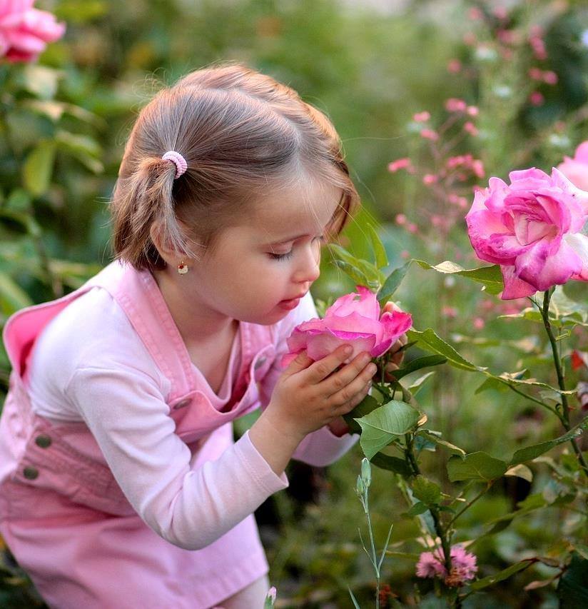 Ты уже не ребенок розовый. Дети в розовых тонах. Фотосессия детей в цветочном саду. Розовые розы для детей. Дети в саду с цветами фотосессия.