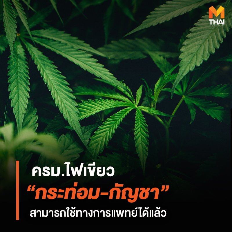 Mthai On Twitter à¸„à¸£à¸¡ à¹„à¸Ÿà¹€à¸‚ à¸¢à¸§ à¸„à¸¥à¸²à¸¢à¸¥ à¸­à¸à¸ à¸à¸Šà¸² à¸à¸£à¸°à¸— à¸­à¸¡à¹ƒà¸Š à¸—à¸²à¸‡à¸à¸²à¸£à¹à¸žà¸—à¸¢ à¹à¸¥ à¸§ à¸— à¸›à¸£à¸°à¸Š à¸¡à¸„à¸