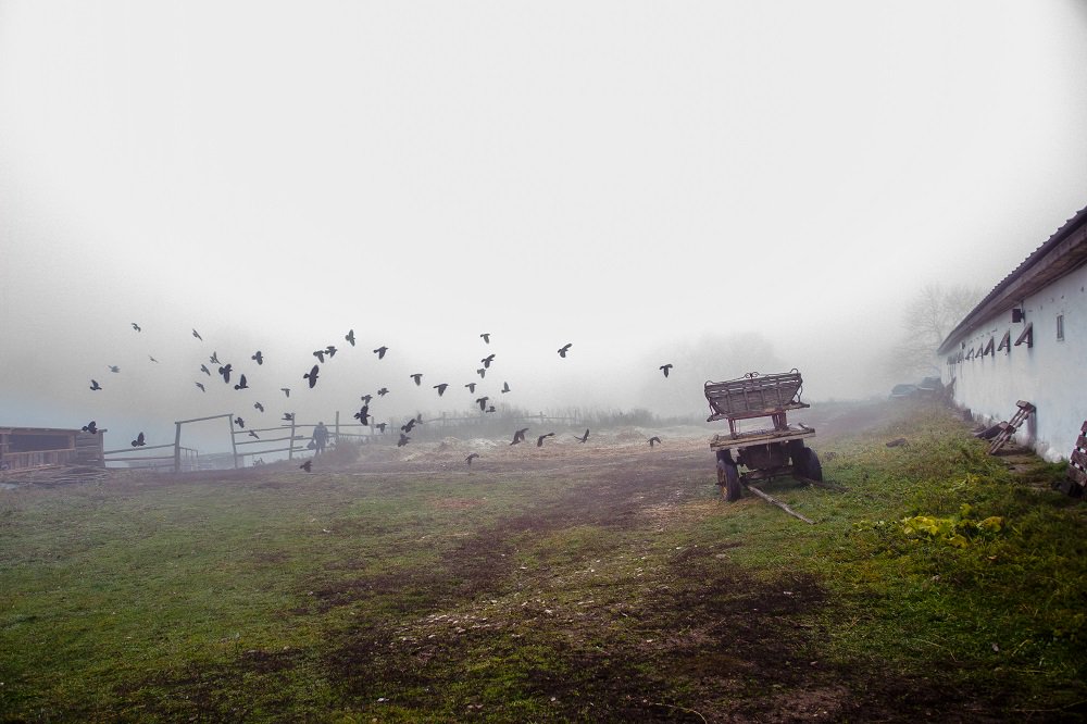 Yasnaya Polyana (yasnaya_polyana) Twitter