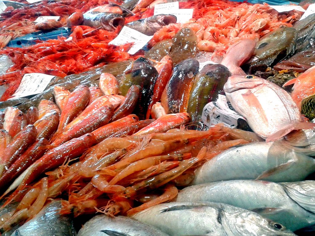 Aquest dijous 15 de novembre,  taller obert i gratuït d'identificació d'espècies pesqueres del port de #Palamós. És important que les coneguis! Aprofita-ho! 

👉goo.gl/jcLrxz

Vine a formar-te. T'hi esperem! 
#PalamósPeix <a href="/AjPalamos/">Ajuntament de Palamós</a>