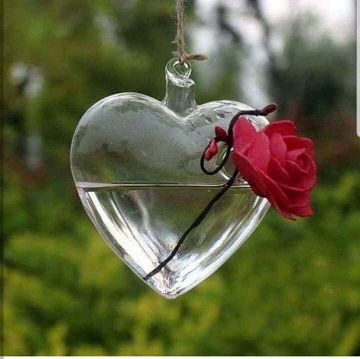 لا شيء يخترق "القلــــوب" ..
كلطف العبارة .. وبذل الإبتســــامة ..
ولين الكلام .. وسلامة القصــــد ..ونقاء القلب ..

نَسعَى وَ نَمضِي ..
وَنَتعبّ وَنَبكِــــي ..
وَ يَبقَى ما اختَارهُ الله لنا هُوَالخَيــــــر ..

خيوط من ذهب تربطنا بمن نحب ..
يزداد بريقها كــــل يوم ..