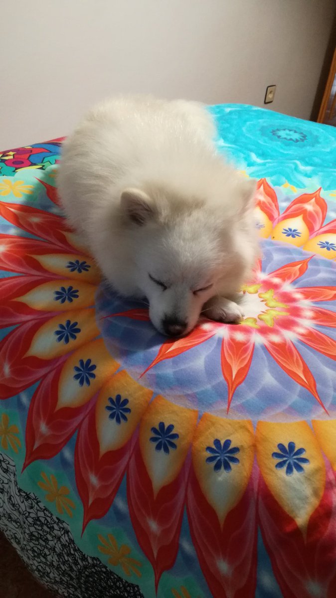 xxKnya's tweet photo. Como en mi cama, no se duerme en ningún sitio😂 https://t.co/NpEmmPWLye